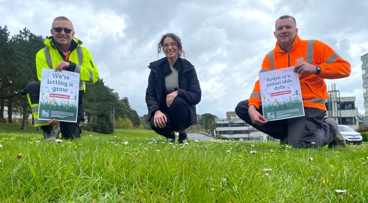 Aberystwyth University will be taking part in the Plantlife’s ‘No Mow May’ campaign