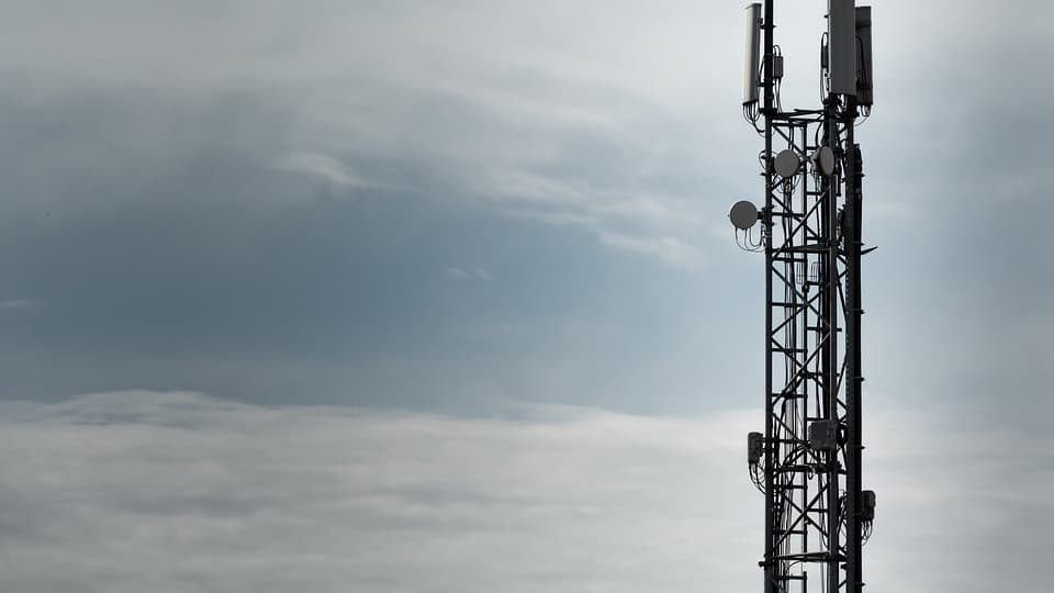 Farming union's concerns over mobile phone masts