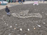 15,000 stones laid in memory of the children killed in Israel and Gaza
