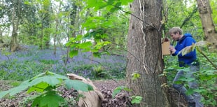 Nest box project looks at climate change impact on bird breeding