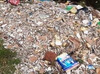 Huge mound of trash and rubble left fly-tipped in Forge forestry