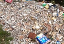 Appeal for information as huge mound of trash left fly-tipped in Forge forestry