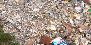 Huge mound of trash and rubble left fly-tipped in Forge forestry