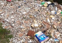 Huge mound of trash and rubble left fly-tipped in Forge forestry