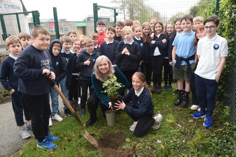 Ysgol Cymerau Pwllheli with MP Liz Saville Roberts, centre, plant a rose named after John Ystumllyn