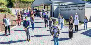 University launches veterinary nurse degree