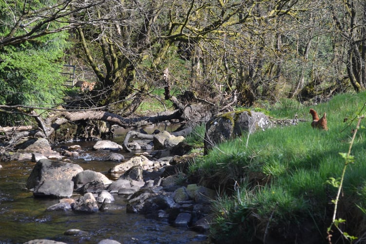 Waterways in Llanbrynmair are polluted from the abandoned Dylife metal mine