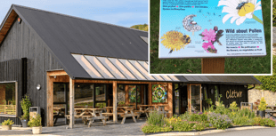 Cletwr to celebrate bee friendly status with pollinator festival