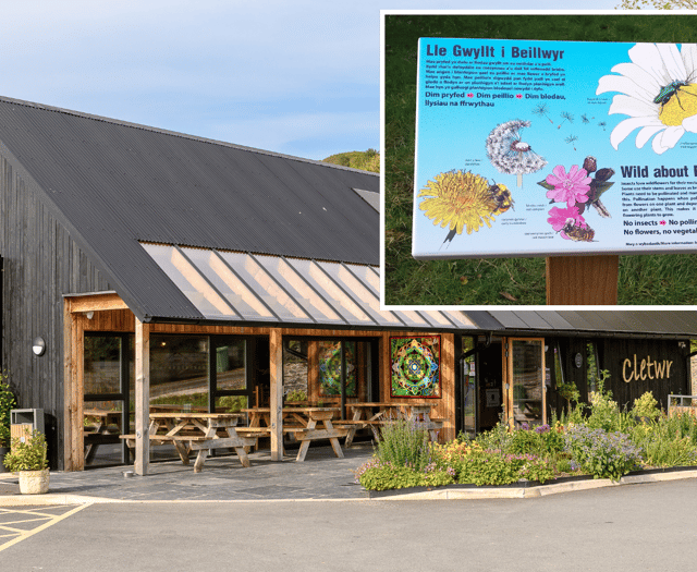 Cletwr to celebrate bee friendly status with pollinator festival