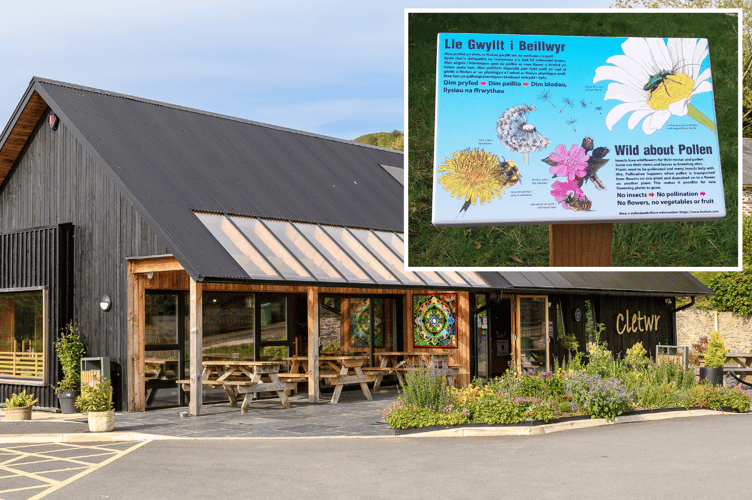 Outside Cletwr (main) you will will find information about pollinators (inset)