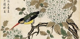 Collaboration brings British Museum touring exhibition to Ceredigion