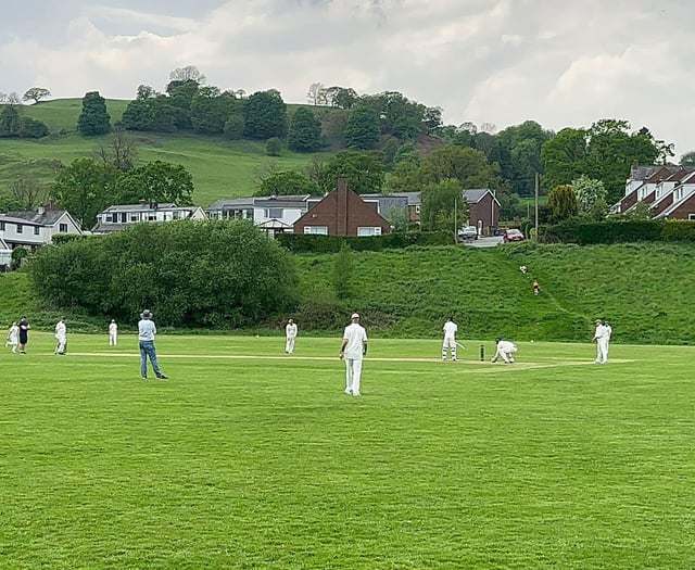 Bala Cricket Club appeal for new players