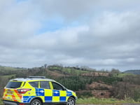 Poaching and 'lamping' on the rise in west Wales, police say