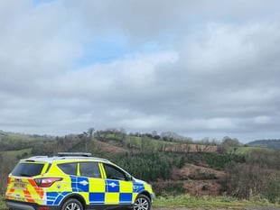 Poaching and 'lamping' on the rise in west Wales, police say
