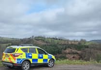 Poaching and 'lamping' on the rise in west Wales, police say
