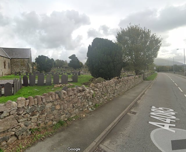 Police appeal over 'despicable damage' to gravestones