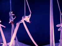Festival celebrates 10 years with support from UKSPF and ARFOR