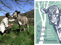 Herd of healing cows helped man cope with grief