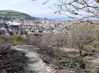 Penglais nature reserve fire leads to new pathway