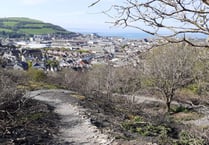 Penglais nature reserve fire leads to new pathway