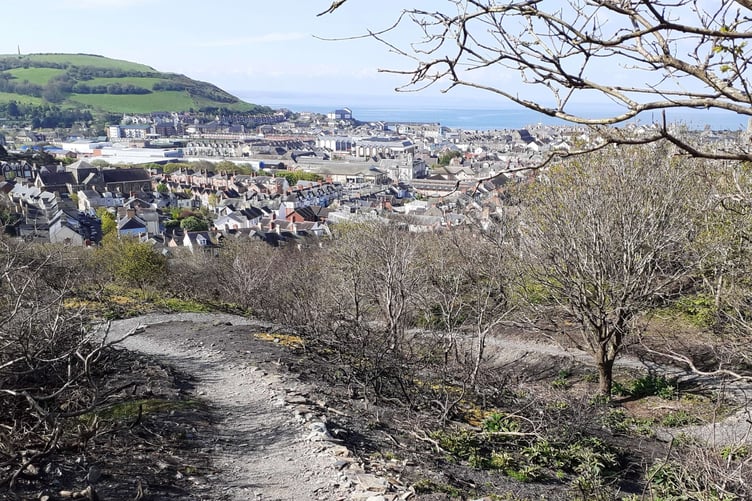 Penglais woods path