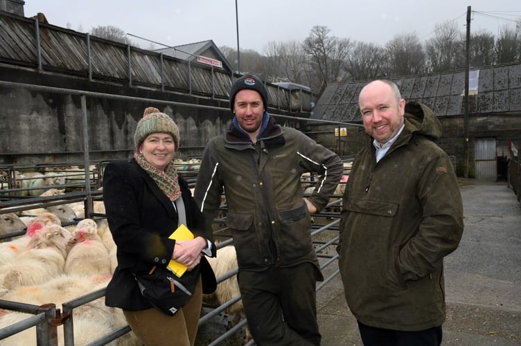 Mabon ap Gwynfor MS and Liz Saville Roberts MP discussing farming matters at Dolgellau Mart 