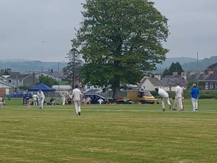 Lampeter mark cricket's return to the town with win against Aberaeron