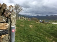 Walk in St Cadfan's footsteps on pilgrimage walk