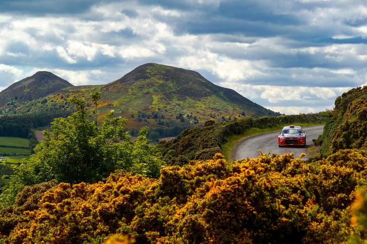 James Williams / Dai Roberts - Hyundai I20 R5