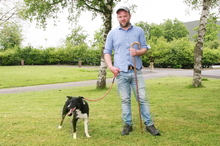 Dewi Jenkins with his 7,900gns top price Skipton dog Aran Mia