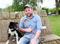 Talybont triallist top dog again at national auction