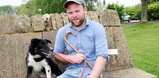 Talybont triallist top dog again at national auction