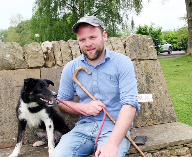 Talybont triallist top dog again at national auction