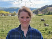 UK Government praise for academic’s antibiotics project