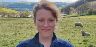 UK Government praise for academic’s antibiotics project