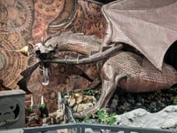 TimeScape Rhayader attraction presents heritage and art