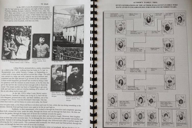 Julia's family tree plotting over 100 years of family history in Esgairgeiliog