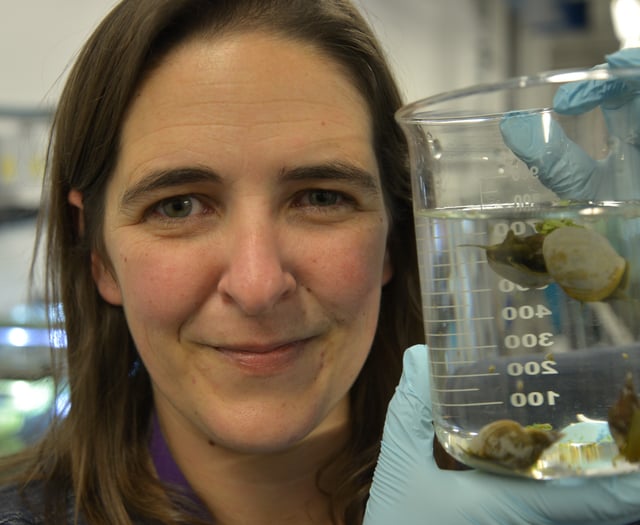 Antibiotics make snails forgetful