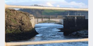 Communities urged to 'adopt' Ceredigion streams