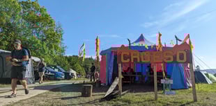 Fire in the Mountain Festival features unlikely VOLEnteer stars