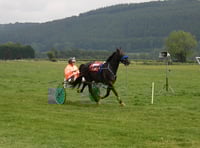 Dernol Yankee wins Grade A race at Broadheath common