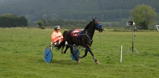 Dernol Yankee wins Grade A race at Broadheath common