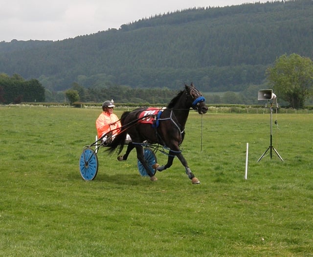Dernol Yankee wins Grade A race at Broadheath common