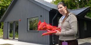 Pet dragon to debut at BeachLab