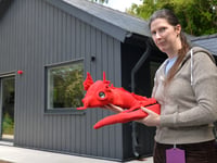 Pet dragon to debut at BeachLab