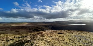 Residents protest proposed wind turbine project near nature reserve