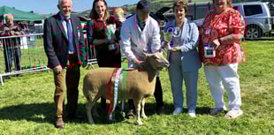Record set at Aberystwyth Show