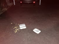 Driver fined for throwing chips out of window