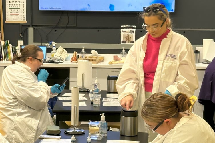 Work in the labs 