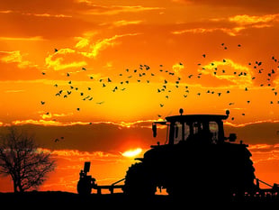 Farming councillors denied voting rights on agri issues